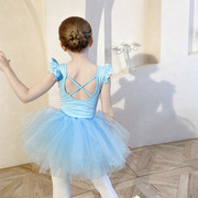 儿童舞蹈服夏季女童，练功服蓝色芭蕾舞裙，幼儿中国舞练舞衣分体套装