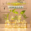 创意绿萝水培植物玻璃花瓶小清新客厅办公室桌面装饰摆件植物容器
