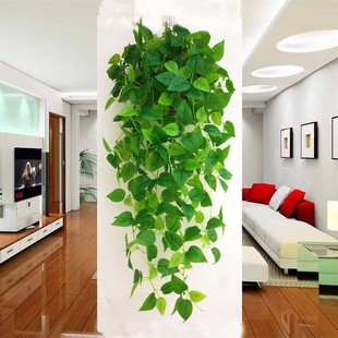 餐厅墙面绿萝藤装饰品壁挂仿真植物，吊篮奶茶铺，墙壁上遮挡瑕疵挂件
