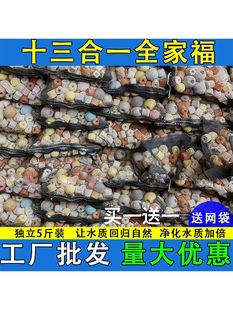 鱼池过滤材料鱼缸珊瑚骨，火山石陶瓷环细菌屋活性炭生化球全套滤材