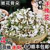 2024洋槐花新鲜现摘4斤杨槐花食用野生蔬菜花骨朵洋槐花3