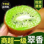 陕西周至翠香猕猴桃5斤绿心奇异果水果，新鲜当季孕妇即食整箱