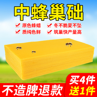 蜂蜡蜂巢中蜂巢础蜜蜂蜂巢框蜂箱工具蜂蜡皮巢脾巢皮深房巢基