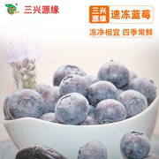 速冻蓝莓冷冻新鲜蓝莓冰冻水果，饮品奶茶蛋糕店健身蓝莓汁果酱1kg