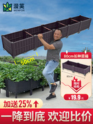 种植箱家庭阳台蔬菜专用菜盆种菜神器楼顶长方形塑料花盆特大花箱