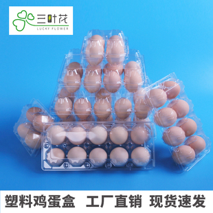 鸡蛋盒塑料一次性透明包装盒便携皮蛋咸鸭蛋盒子包装鸡蛋托打包盒