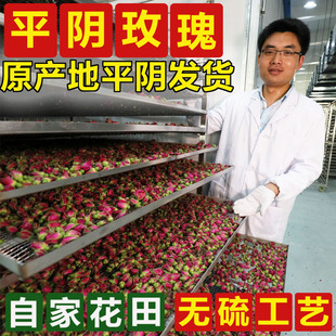 2023头期平阴玫瑰花茶，低温无硫平阴干玫瑰花蕾，茶泡水250g重瓣