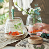 日式玻璃花瓶，摆件水养植物绿萝桌面鱼缸