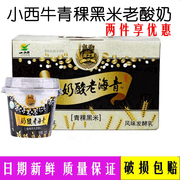 小西牛酸奶青海特产老酸奶，青稞黑米藏之宝150gx12高原特产包