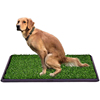 狗厕所中型犬皮地毯仿真人工绿植，造景塑料装饰室内绿色美化假草坪