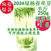 2024年新茶绿杨春单芽新茶 扬州特产仪征绿茶绿扬 绿阳春茶叶250g