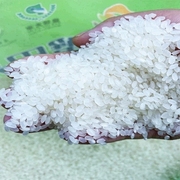 盘锦蟹田大米50斤装东北大米珍珠米当季新米圆粒25kg商用家用