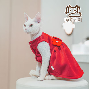 2024年春季无毛猫德文宠物小猫咪衣服双面绒公主大红色连衣裙