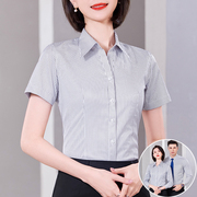 黑白竖条纹衬衫女短袖气质工作服夏季工装上衣正装高级感半袖衬衣