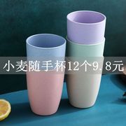 小麦秸秆日式创意随手杯子防摔儿童喝水杯家用环保情侣塑料防摔杯