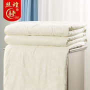 丝煌蚕丝床垫褥子100%桑蚕丝床褥垫被榻榻米床护垫2141填充蚕丝1