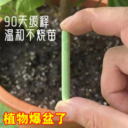 植物肥缓释棒营养棒花肥料盆栽氮磷钾复合肥通用家用种花卉缓释片