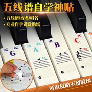 五线谱自学钢琴键盘贴纸，透明贴膜电子琴手风琴37彩色61辅助88配件