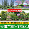 乔木灌木地被花境植物组团组合镜公园树木园林景观草图大师su模型