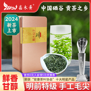 2024新茶高级茶叶，上等紫阳毛尖茶叶特级安康富硒茶产区