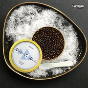 西伯利亚国产鲟鱼子酱10g鲟鱼鱼子酱caviar寿司食材即食拌饭罐头