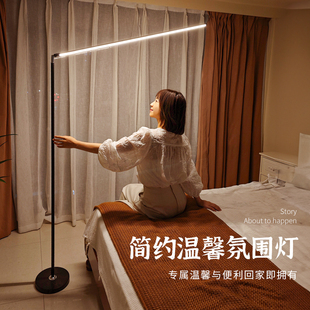 led落地灯客厅卧室立式床头灯2023沙发，旁边墙角落地台灯氛围