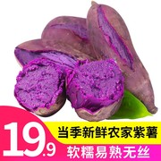 紫薯新鲜板栗红薯贵州高山紫番薯农家自种蜜薯糖心沙地薯蔬菜