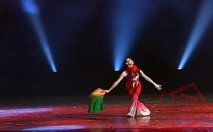 古典民间舞蹈演出服桃李杯独舞，映山红同款表演服成人女扇子舞