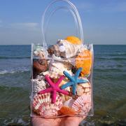 贝壳套餐地台橱窗摆件生日，小礼物海螺，海星鱼缸水族箱造景儿童玩具