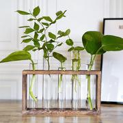 水培花瓶试管水养绿植插花植物容器简约木架摆件台面装饰玻璃花器