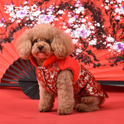 喜庆中国红 宠物新年礼服