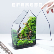 苔藓微景观生态瓶制作材料雨林缸造景花盆绿植盆栽玻璃花房花器皿