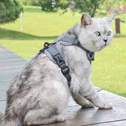 猫咪牵引绳背心式胸背带，外出猫咪专用防挣脱溜猫绳银渐层链子用品