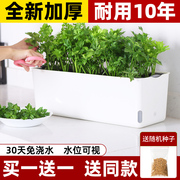 阳台种菜盆家庭蔬菜种植专用箱长方形自吸水室内草莓盆栽懒人花盆
