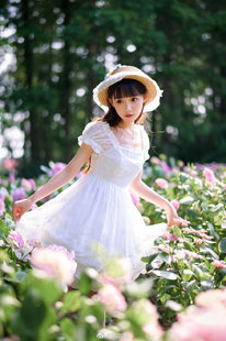 Lulus Garden Swan Lake超仙气白色雪纺蕾丝绣花短袖连衣裙