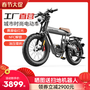 ftn低座t20s锂电池助力电动自行车复古山地车摩托车电单车
