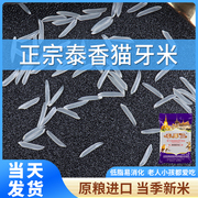 泰国香米猫牙米长粒香，大米2024年新米小包装籼米煲仔饭专用米家用