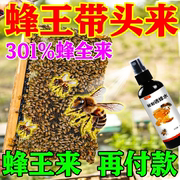 诱蜂膏神器蜂蜡强效诱蜂引蜂招蜂野外用中土蜂，引蜂养蜂专用工具