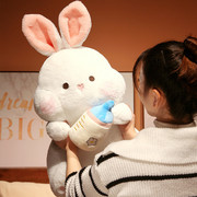 睡毛绒小白兔兔女孩生日礼物娃娃，抱枕公仔毛绒玩具2023抱奶瓶