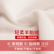 2024纯棉衬衫女长袖，韩版修身木耳领立领气质淑女打底衫白