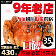 泰州3.5两螃蟹活物新鲜活大蟹兴化大闸蟹特大全母鲜活六月黄母蟹