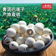 洪湖莲子湖北洪湖莲子500g荆州洪湖特产