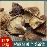云南野生香菇干货土特产新鲜山货野生蘑菇农家椴木香菇煲汤好食材