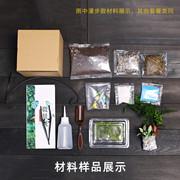 15cm切口苔藓微景观diy材料，包创意玻璃球生态瓶子摆件物套装