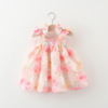 女宝宝裙子0-2-3岁4女童，夏装1婴儿雪纺，衣服洋气6个月女童公主裙