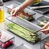 冰箱长方形透明收纳盒蔬菜面条，水果盒子带盖密封盒食品级保鲜盒