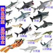 硬大白鲨鱼玩具小巨齿鲨虎鲨巨口鲨仿真海洋动物模型公仔宝宝玩偶