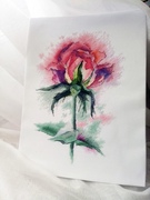 水彩红玫瑰 十字绣套件 植物花卉 客厅卧室挂画 精准印花