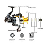 15轴全金属头无间隙纺车轮渔轮3000型 海钓路亚远投鱼轮双线杯