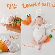 新生儿拍照服装兔子主题宝宝满月百天照服装影楼婴儿拍照萝卜道具